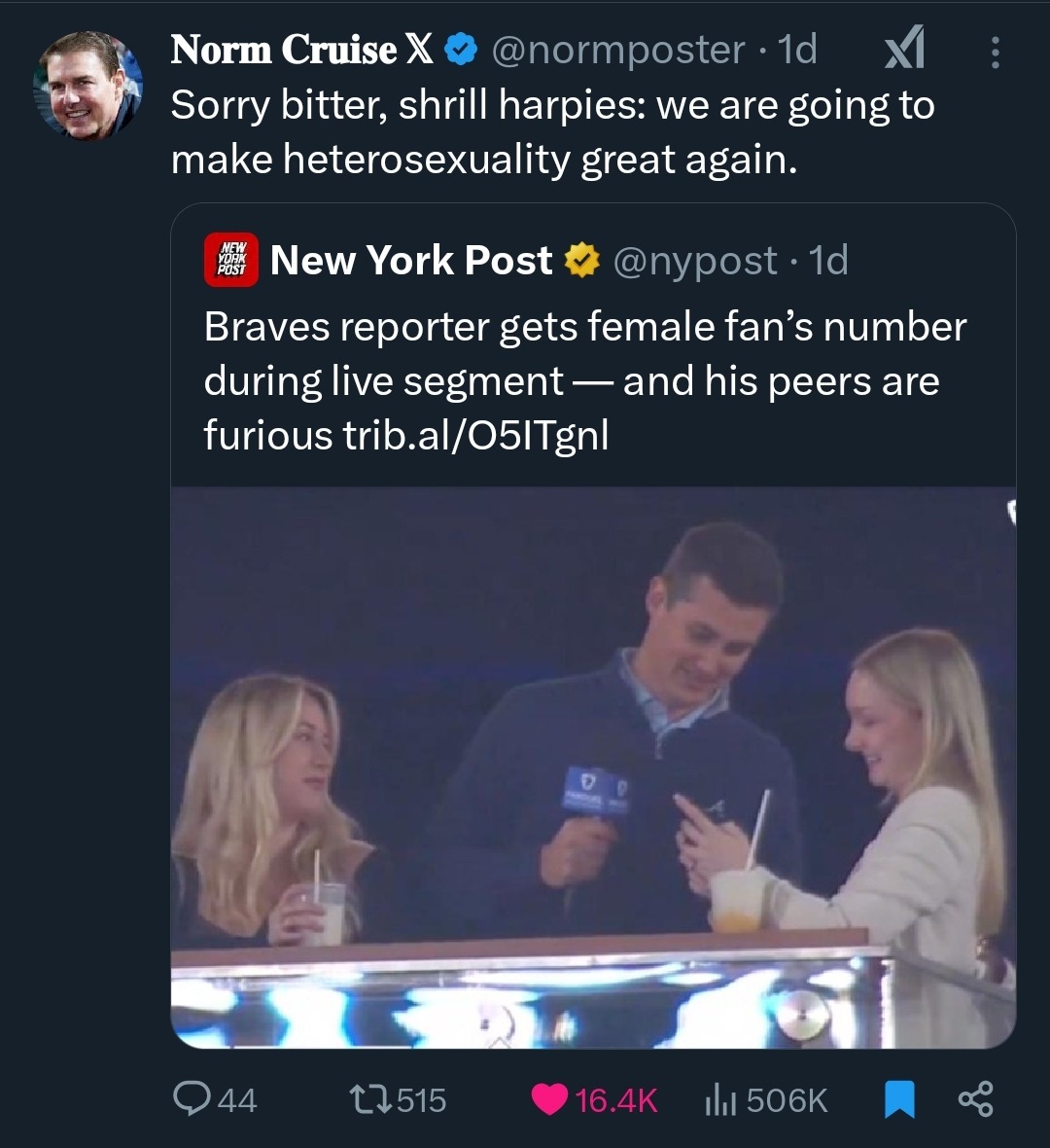 dongs in a reporter - meme