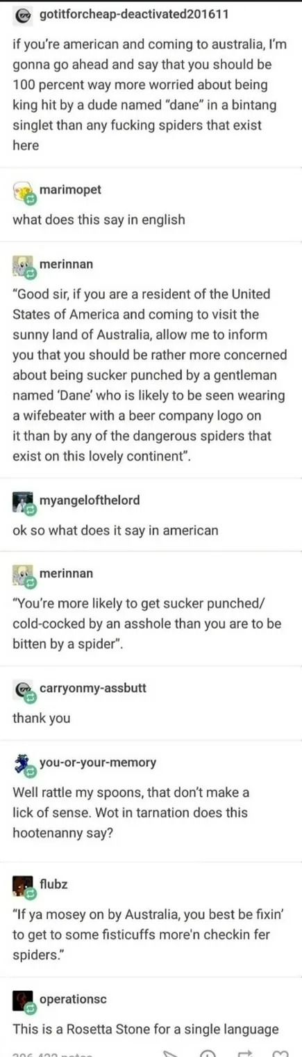 Rosetta Stone: Australian slang edition - meme