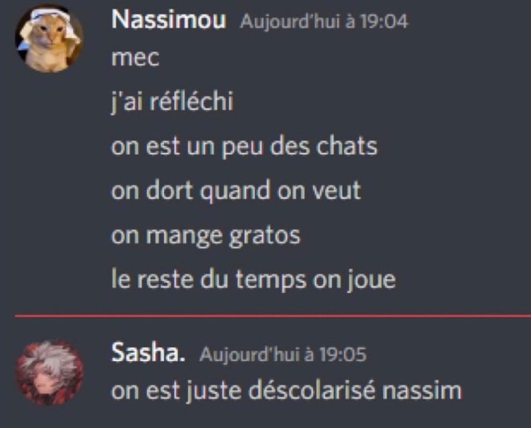 On est comme les chats frère... sauf qu’on a juste pas d’école - meme