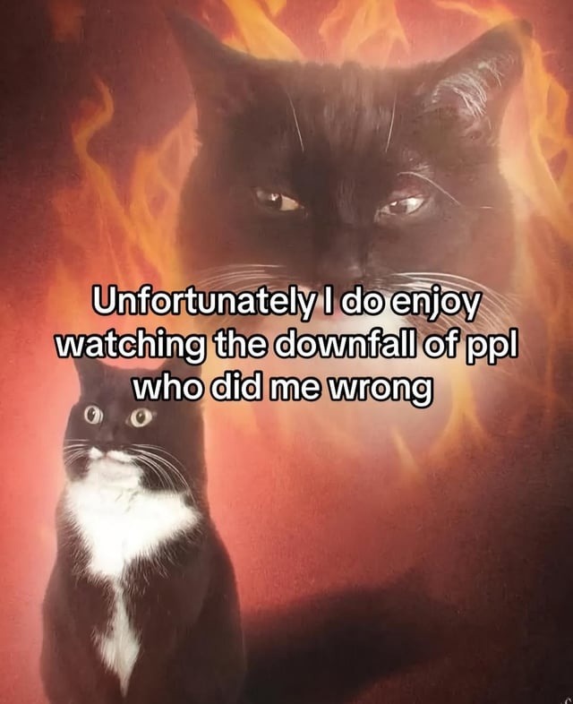 Sorry not sorry, I enjoy watching karma unfold - meme