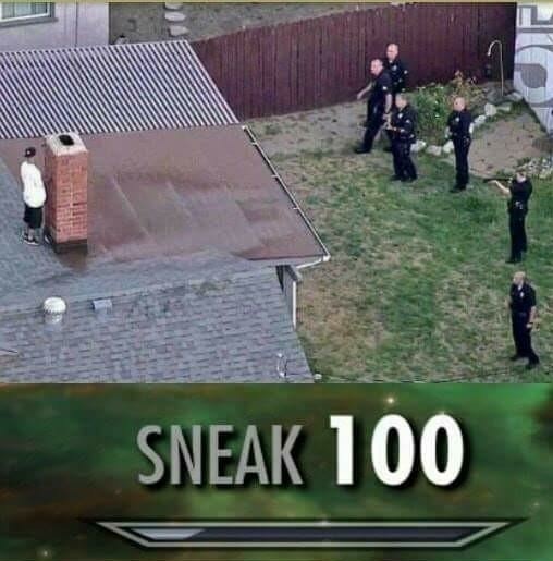 Sneaky sneaky - meme
