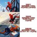Spiderman stay at home