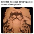 de tigre a nutria