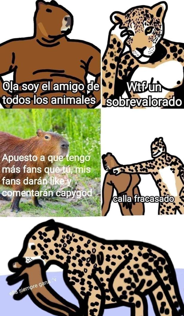 Meme