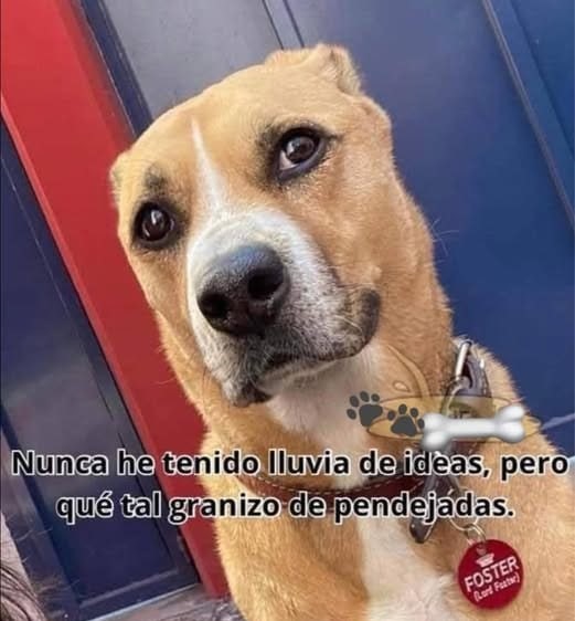 Lluvia de ideas o granizo de pendejos - meme