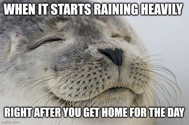 Getting home just before the storm makes you feel like a god - meme