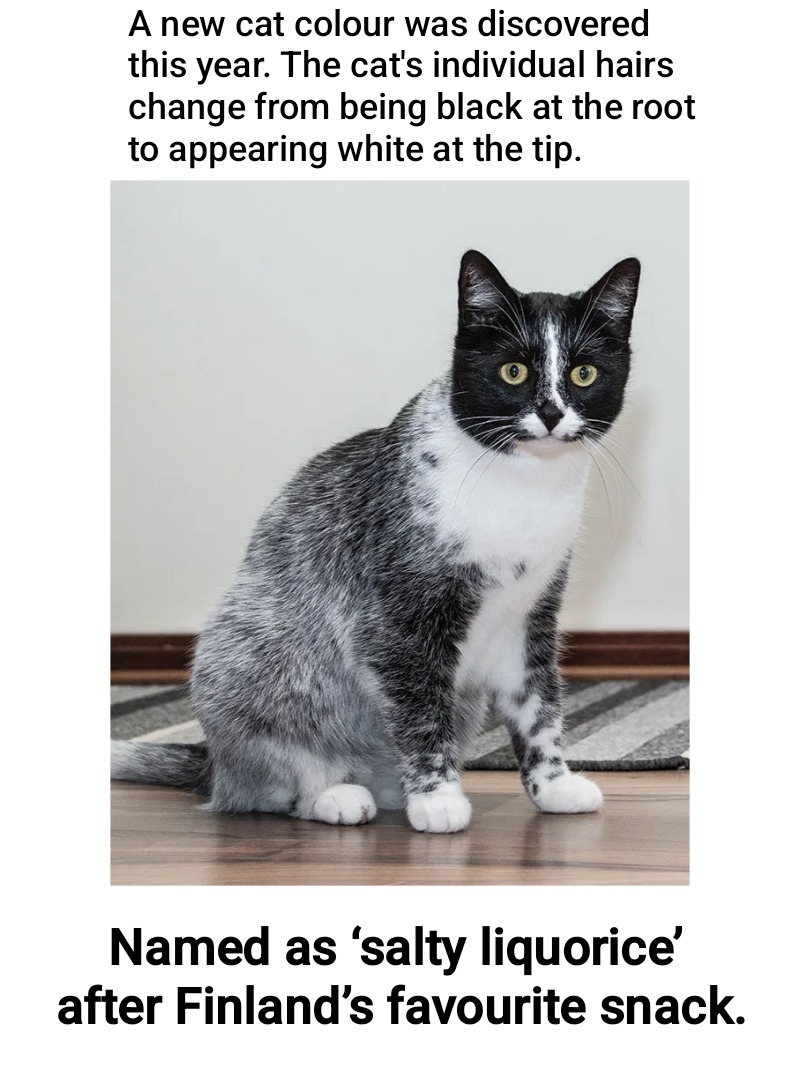 The best Liquorice memes :) Memedroid