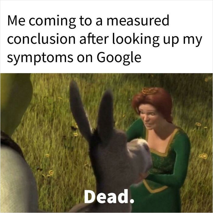 When I look up my symptoms on google: - meme