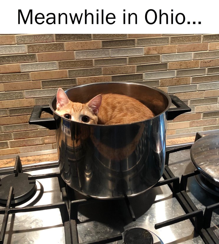 Meanwhile in Ohio - meme