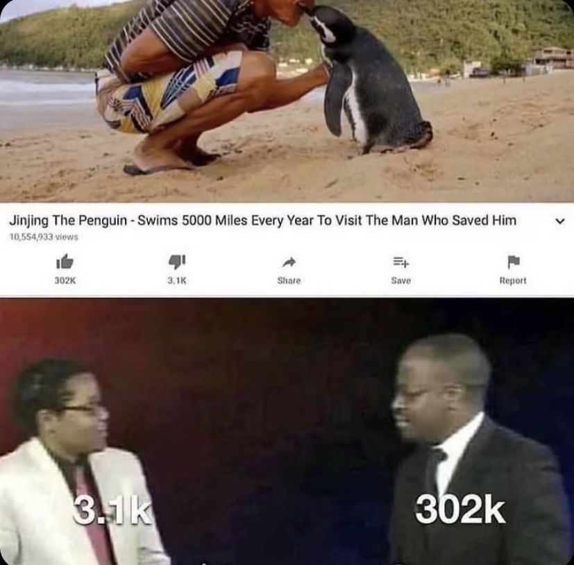 why are you gae? - meme