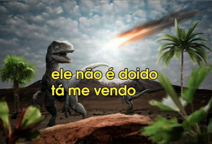 Ele nao é doido - meme