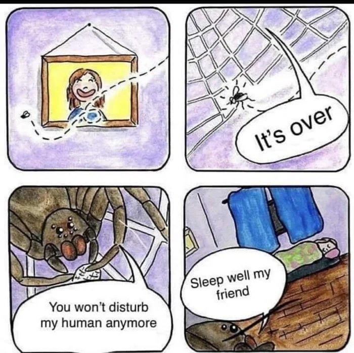 Spiders be like - meme