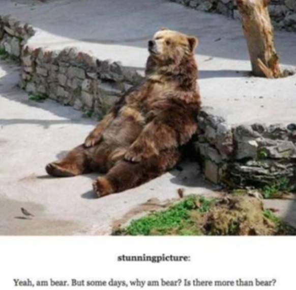 Be Bear. Bear good. - meme