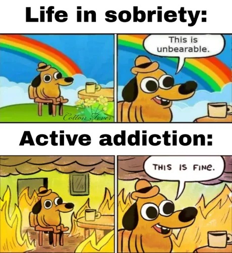 Life in sobriety vs active addiction - meme