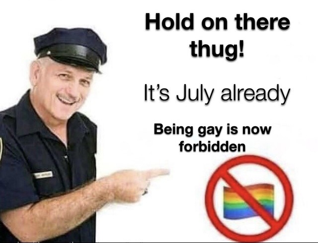 Pride month is over, no more gay - meme
