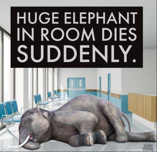 Fortunately only elephants, not humans - meme
