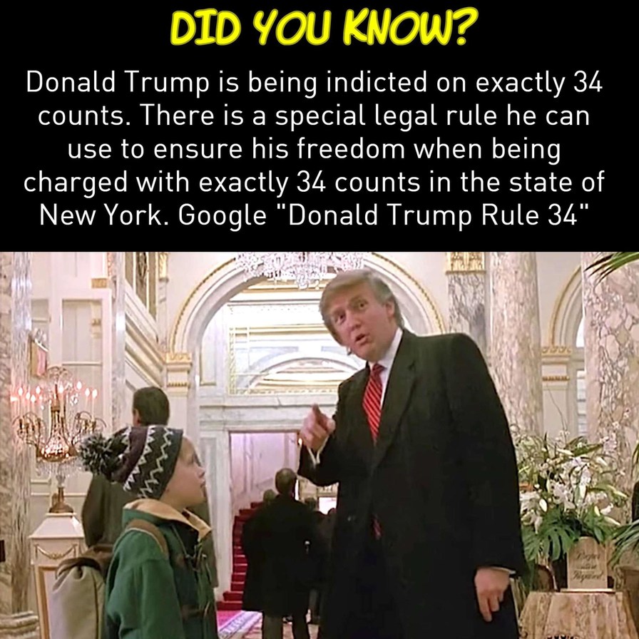 Google it, Trump gonna get off on this special rule - meme