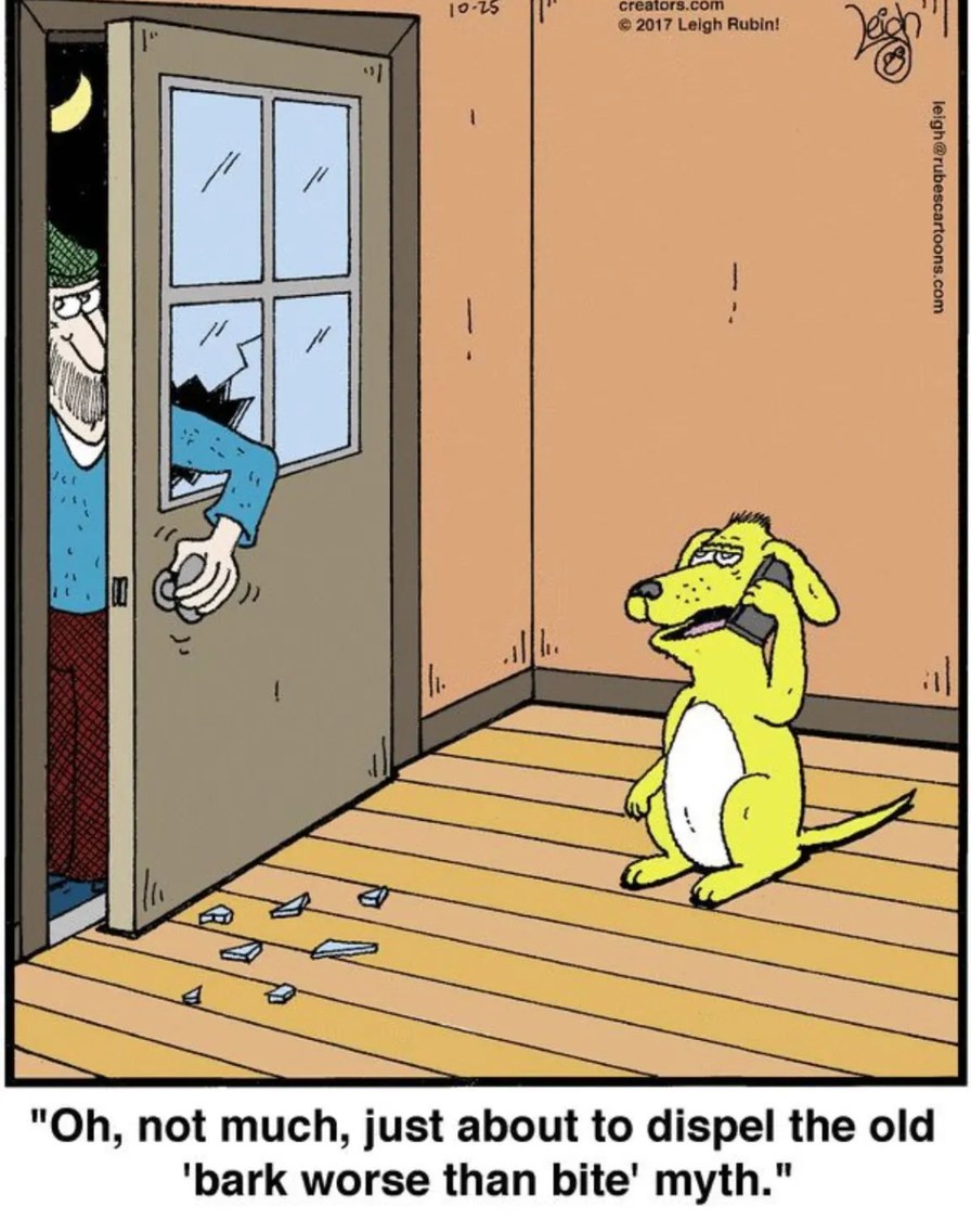 Bark - meme