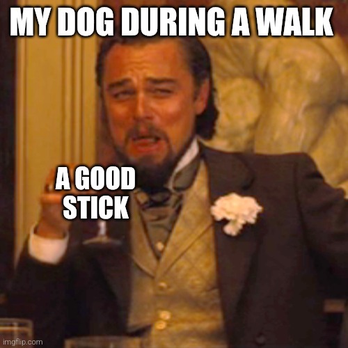 Dawg....! - meme