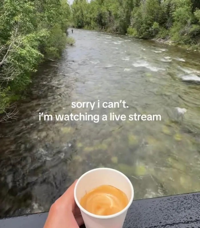 Busy - meme