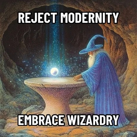 Embrace wizardry - meme