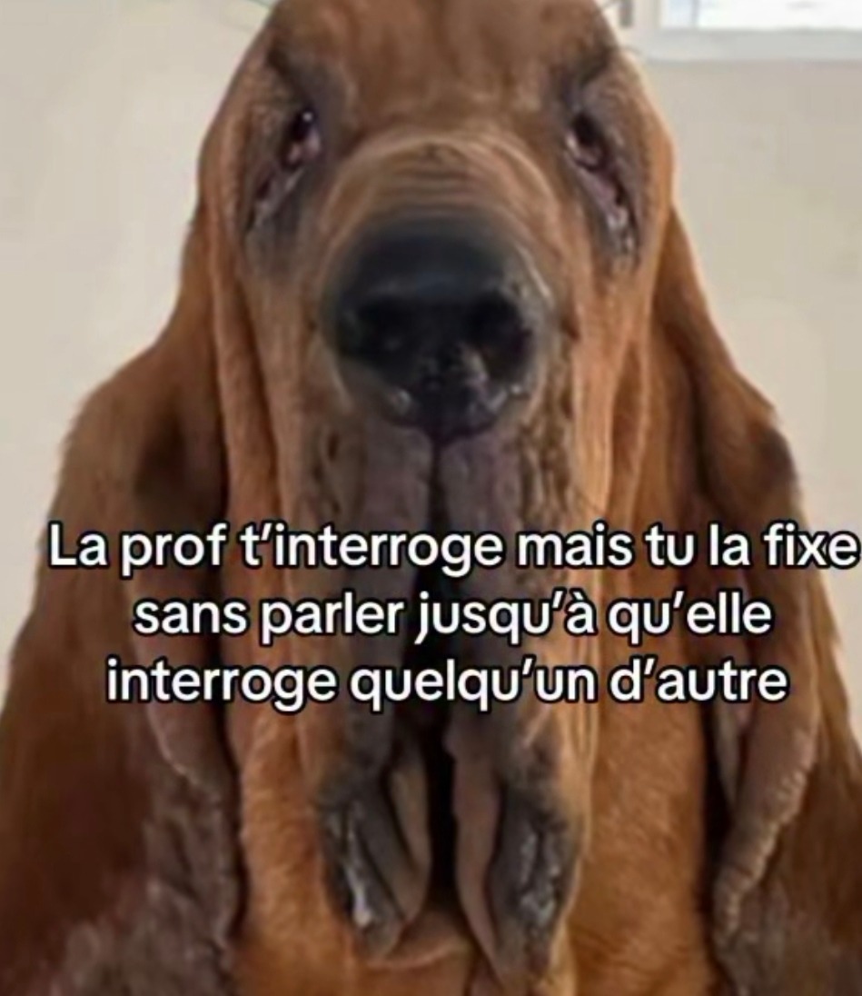 Technique ninja pour esquiver une interro orale en full eye contact - meme