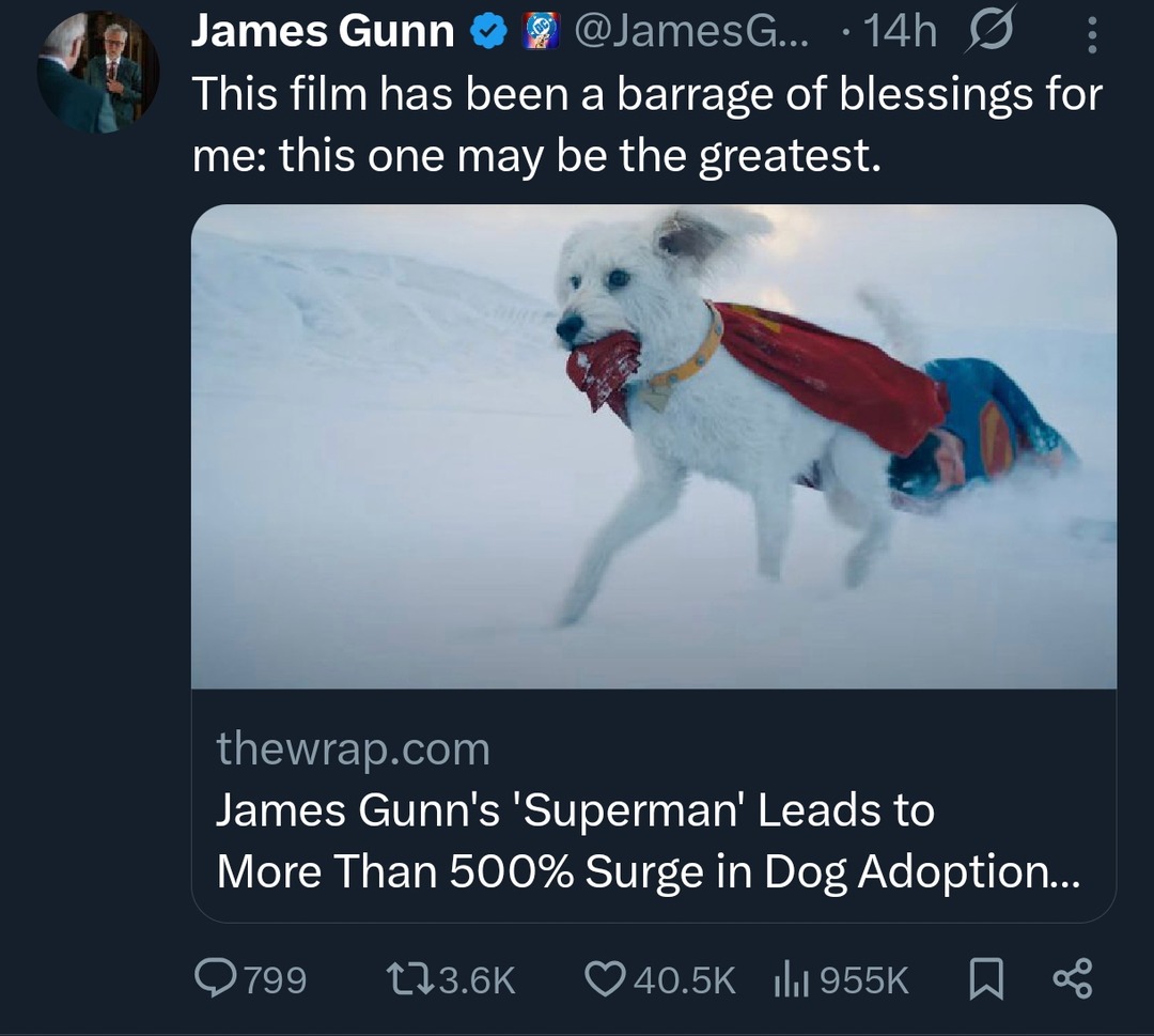 James Gunn's Superman movie made people adopt dogs. Real hero arc - meme