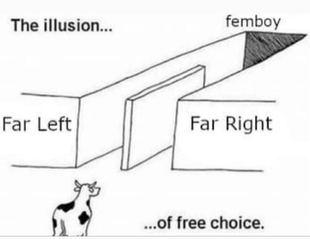 Le free choice - meme