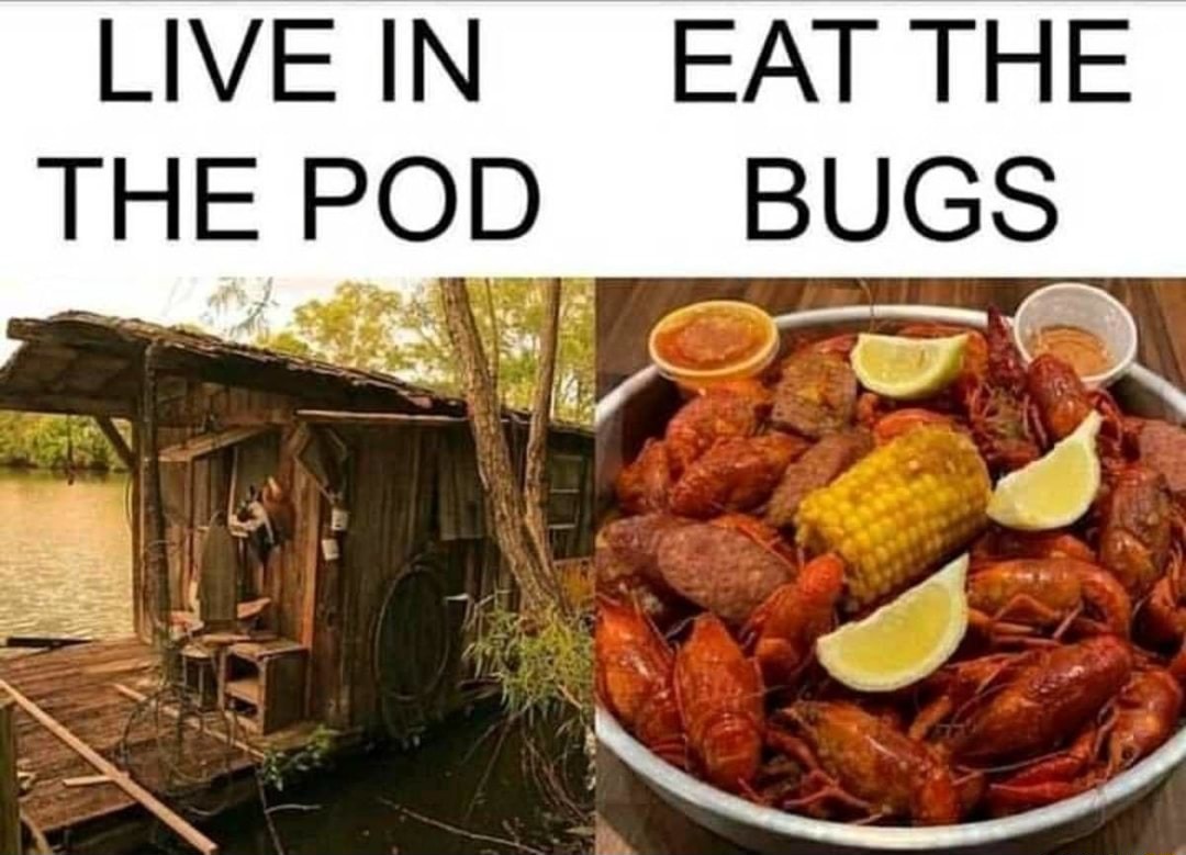 Eat the bugs - meme