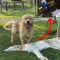 commented item thumbnail