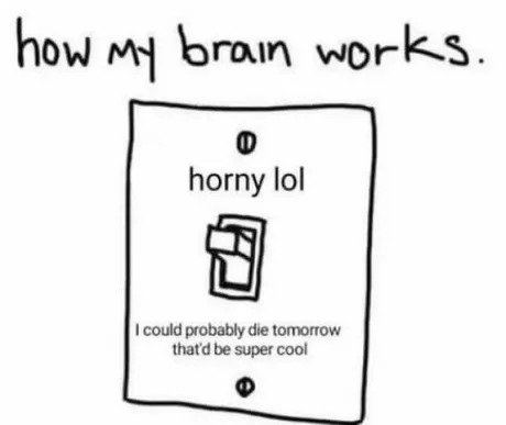 How my brain works - meme