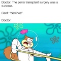 penis yank