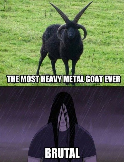 Metal Goat - meme