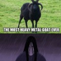 Metal Goat