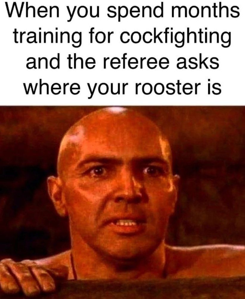 rooster - meme