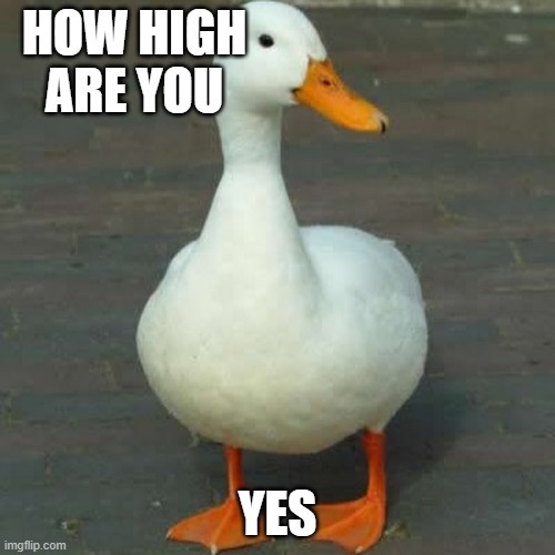 How high are you - meme