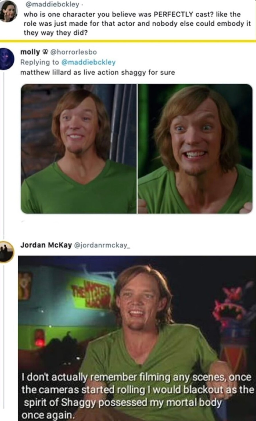 Matthew Lillard didn’t act as Shaggy, he channeled him from another dimension - meme