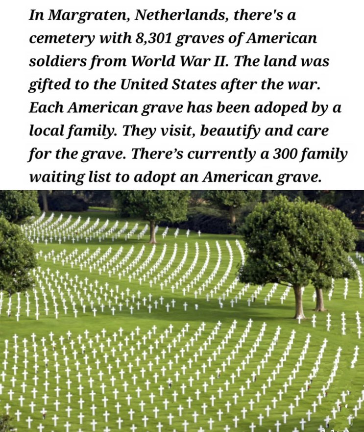 ﻿In Margraten, Netherlands, there’s a cemetery with 8,301 graves of American soldiers from World War II The land was gifted to the United States after the war. Each American grave has been adoped by a local family They visit, beautify and care for the grave. There’s currently a 300 family waiting list to adopt an American grave.