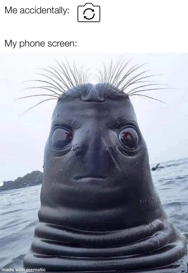 Everytime I switch to the front camera - meme