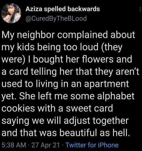 wholesome neighbours - meme
