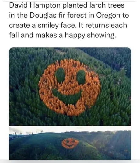 Happy trees - meme
