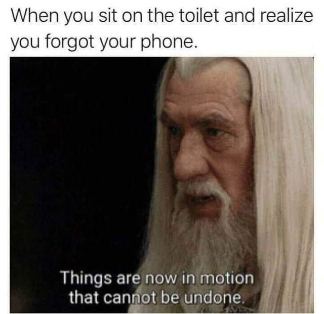 When you sit on the toilet and realize you forgot your phone - meme