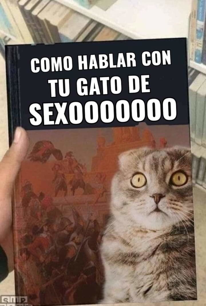 gato sexo - meme