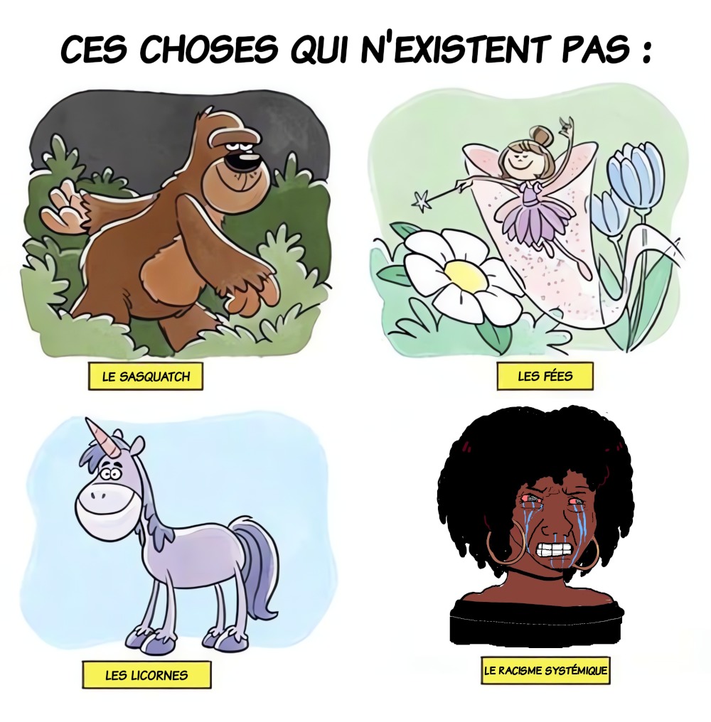 Systémiquement fake - meme