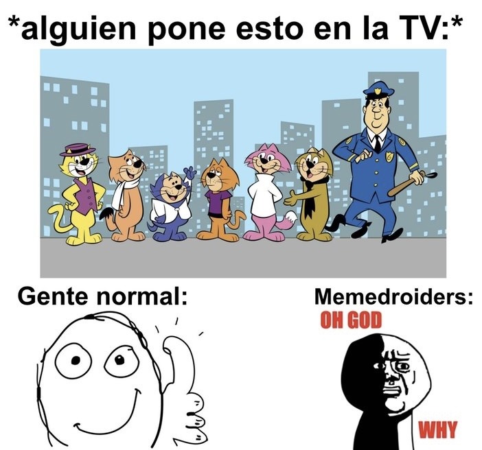 Alguien se acuerda del cucho? El we que dejo a su gato que lamiera su nepe? - meme