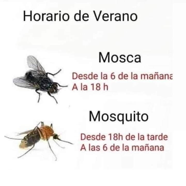 Horario - meme