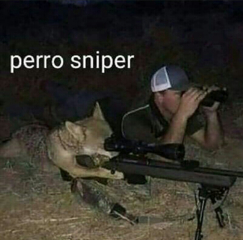 Sniper! - meme