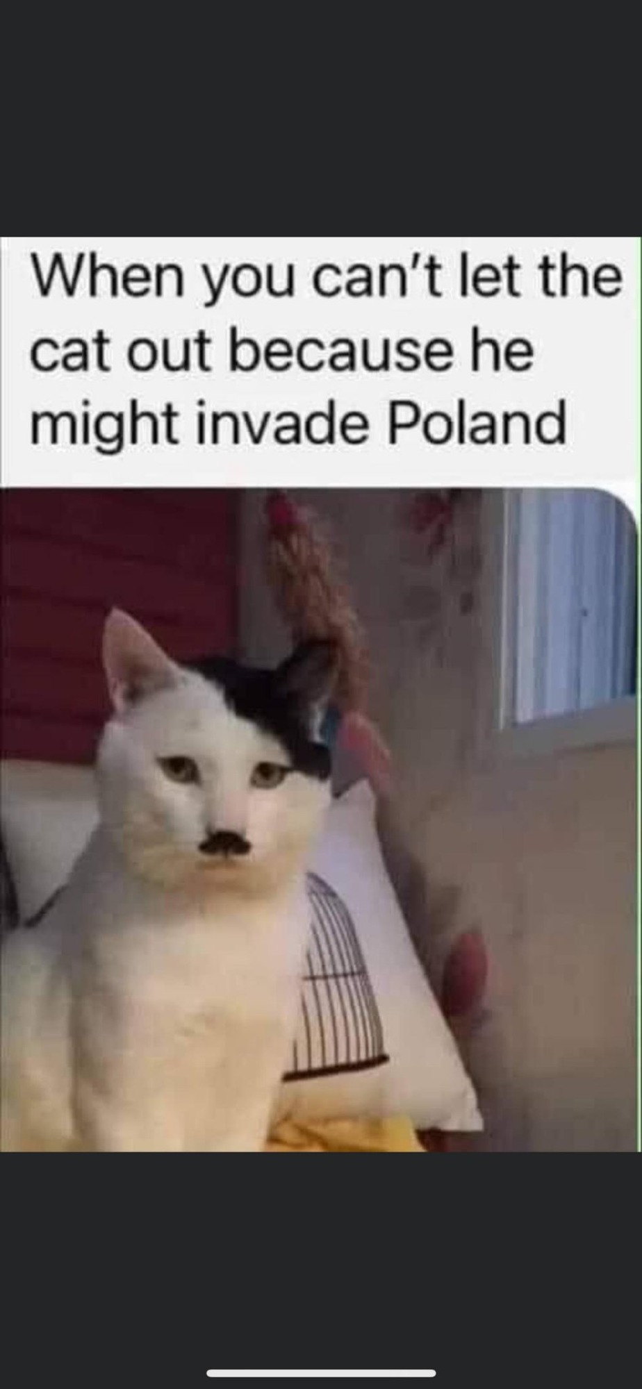 I can haz Poland? - meme
