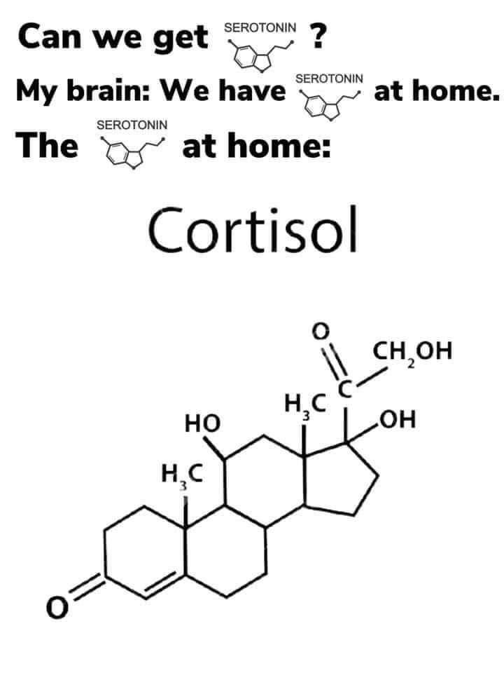 At Home Cortisol Detox