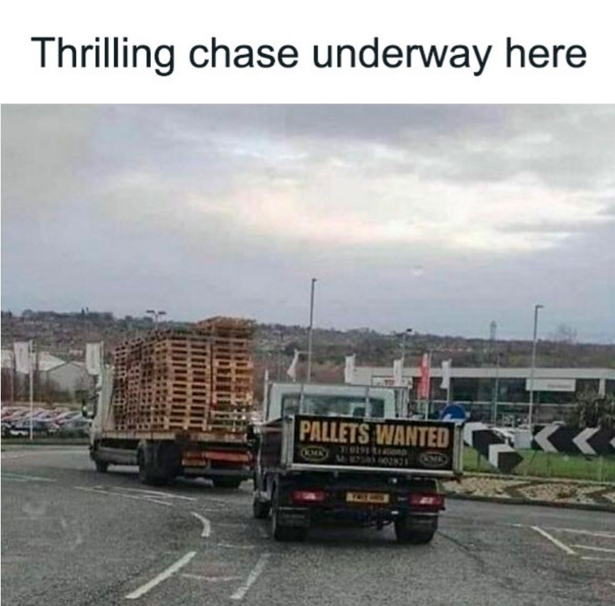 ﻿Thrilling chase underway here PALZETS WANTED